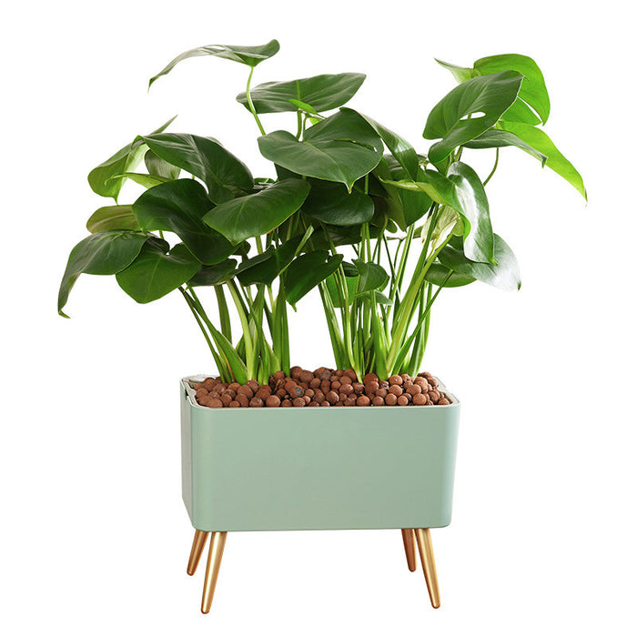 Pot de fleur à arrosage automatique avec indicateur de niveau d'eau, bassin de rangement sur pied, Design moderne, cadeau idéal pour les amis