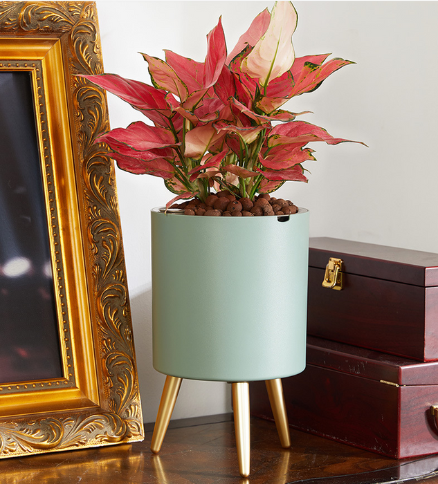Pot de fleur à arrosage automatique avec indicateur de niveau d'eau, bassin de rangement sur pied, Design moderne, cadeau idéal pour les amis