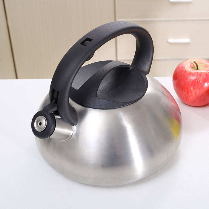 Stainless Steel Whistle Kettle