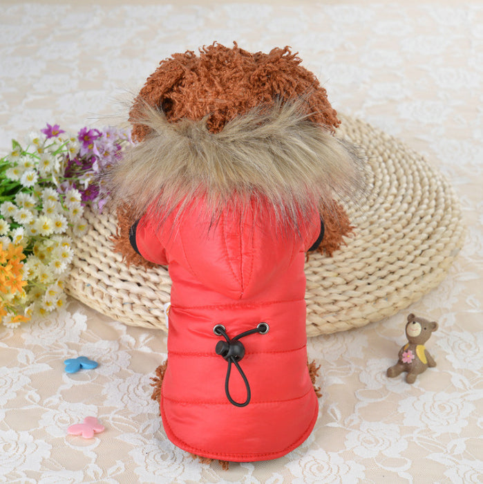 Cotton down clothing for pets