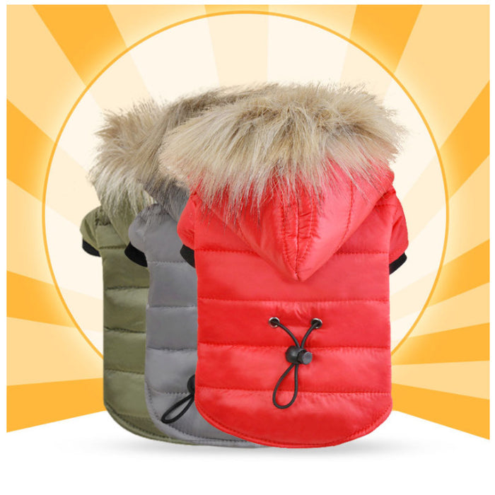 Cotton down clothing for pets
